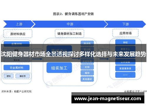 沈阳健身器材市场全景透视探讨多样化选择与未来发展趋势