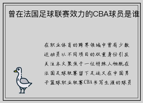 曾在法国足球联赛效力的CBA球员是谁