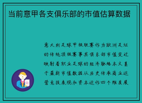 当前意甲各支俱乐部的市值估算数据