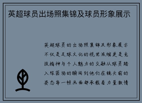 英超球员出场照集锦及球员形象展示